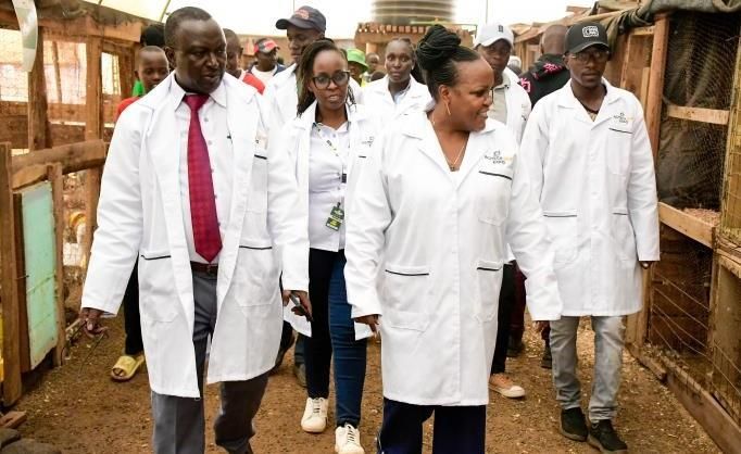 The Patron showing the Kenya Seed Chairperson around the livestock unit