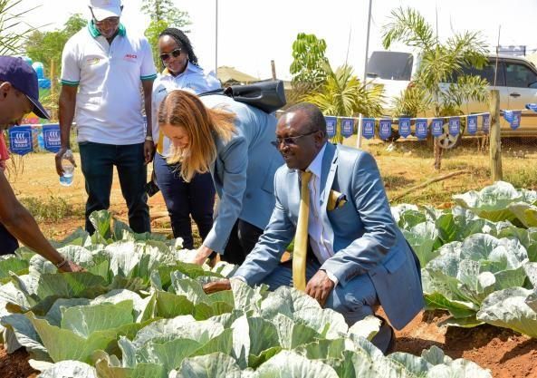 The Patron showing the Norwegian Ambassador the demo crop