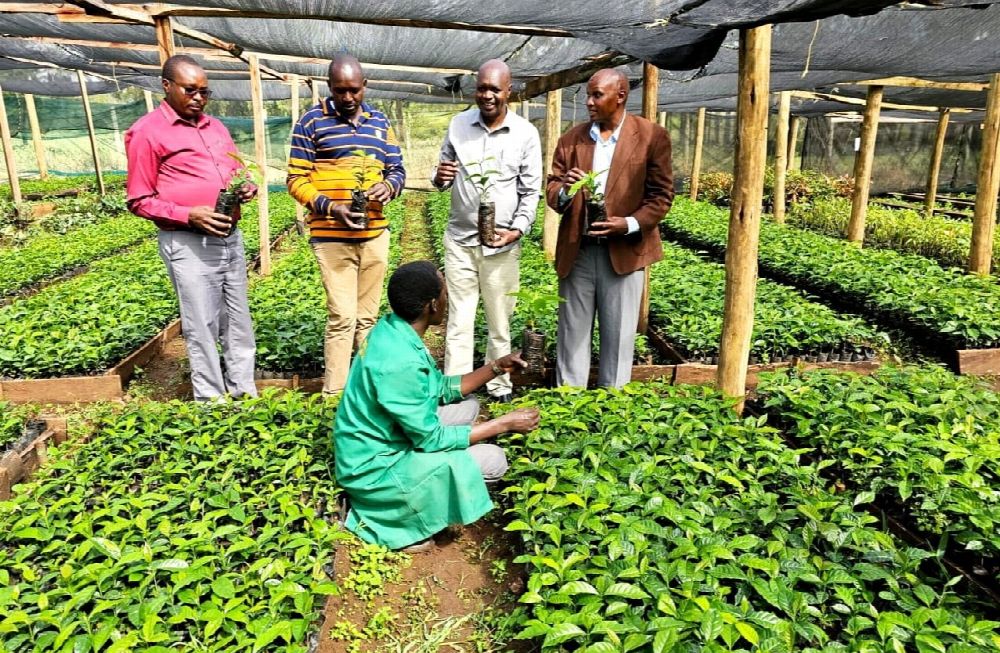 Visitors holding seedlings in the Agitech Seedlings nursery